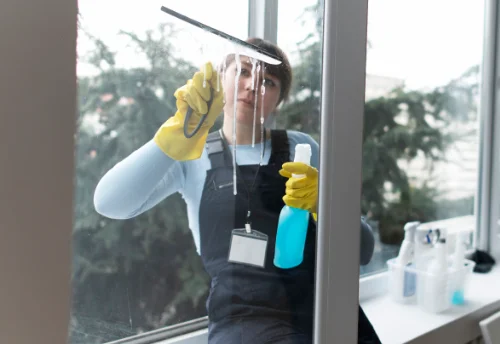 Nettoyage de vitres intérieures et extérieures à Pontpierre